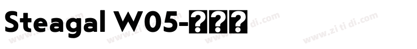 Steagal W05字体转换